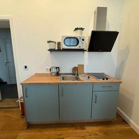 Boutique Hotel Pension Luisengruen Kueche 1Gbs Wlan Netflix Disney Magentatv Chemnitz  Exteriér fotografie