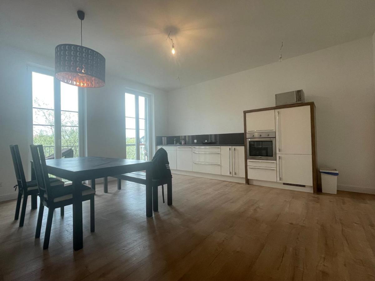 Boutique Hotel Pension Luisengruen Kueche 1Gbs Wlan Netflix Disney Magentatv Chemnitz  Exteriér fotografie