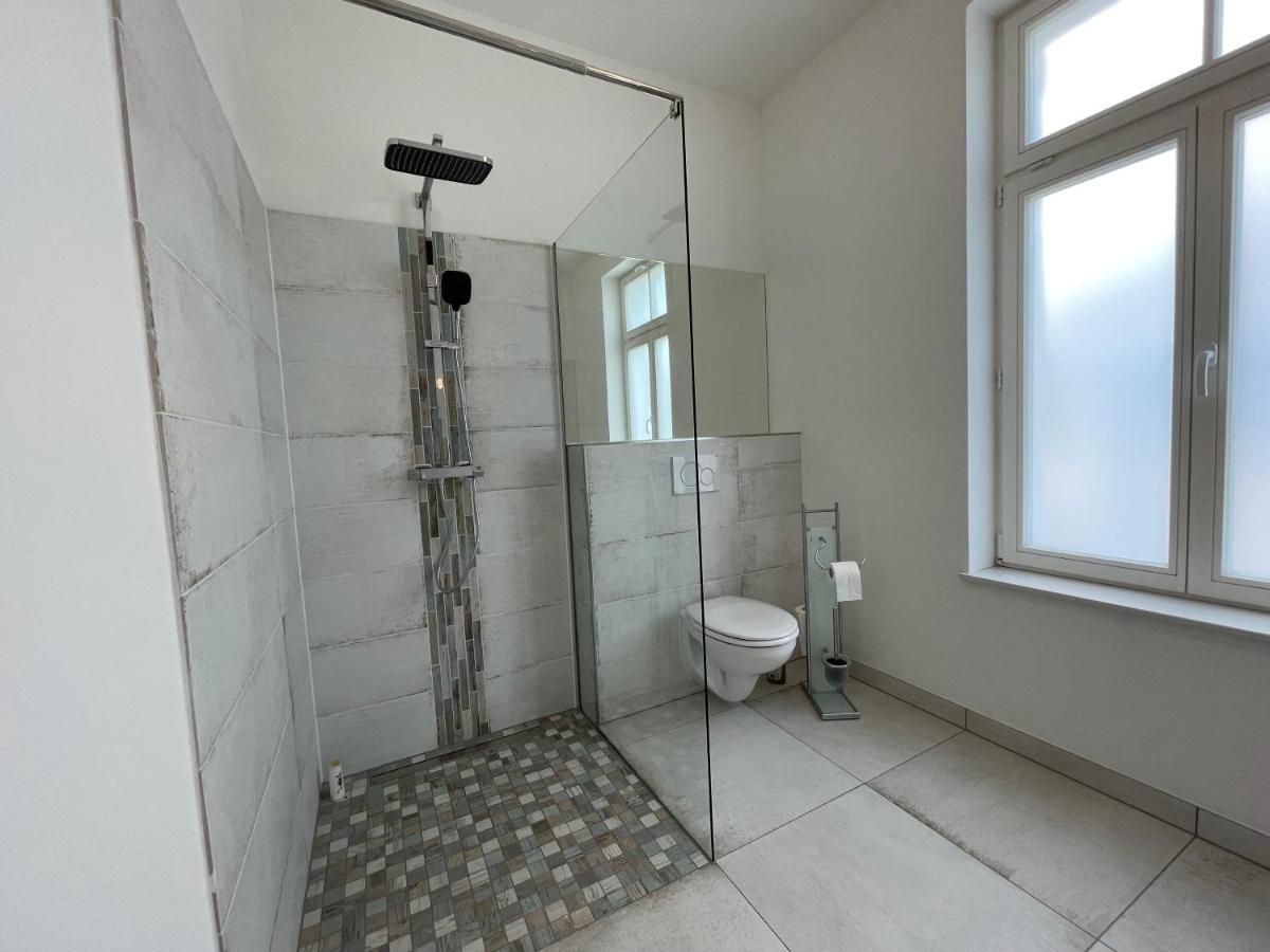 Boutique Hotel Pension Luisengruen Kueche 1Gbs Wlan Netflix Disney Magentatv Chemnitz  Exteriér fotografie