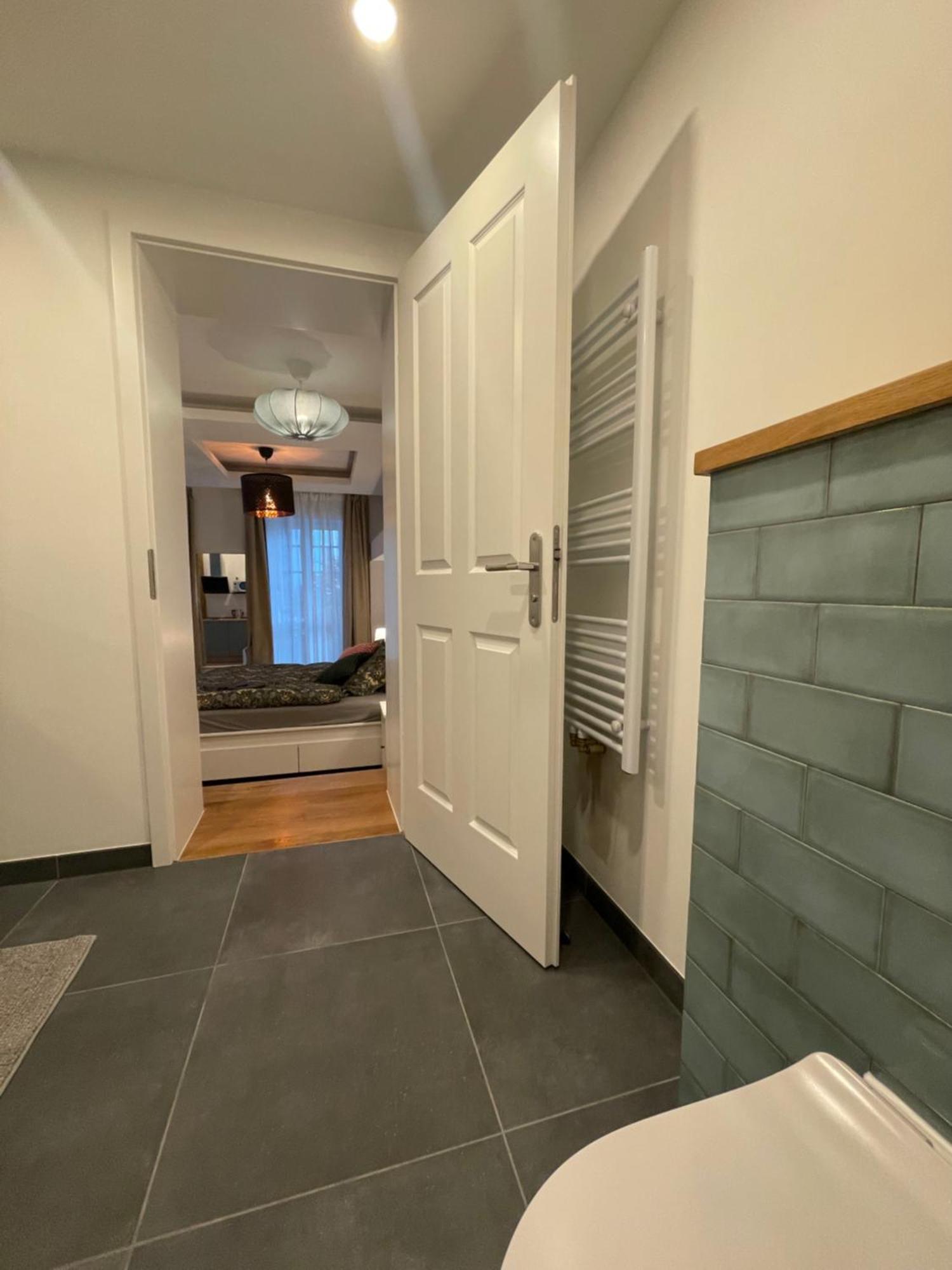 Boutique Hotel Pension Luisengruen Kueche 1Gbs Wlan Netflix Disney Magentatv Chemnitz  Exteriér fotografie