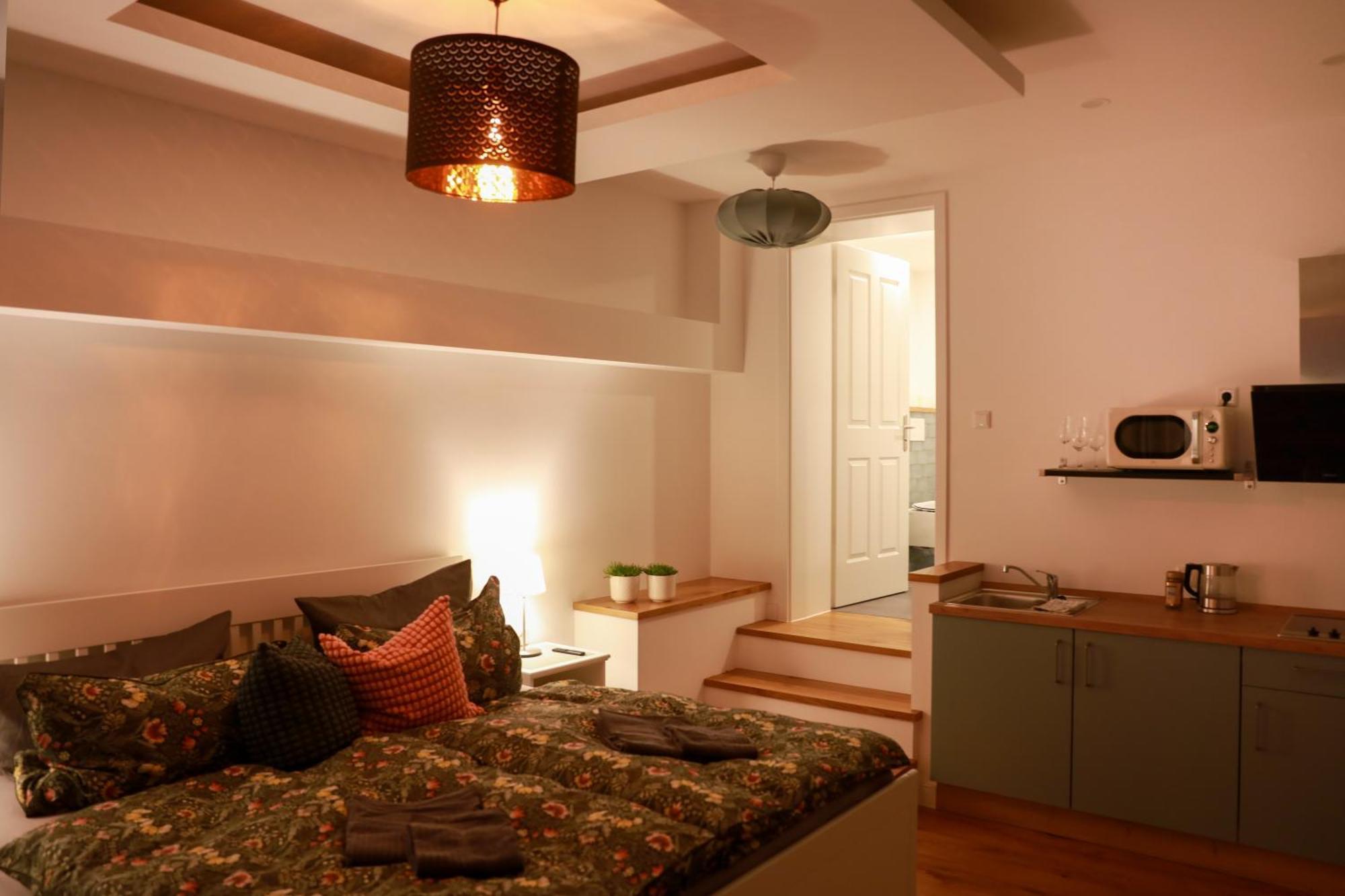 Boutique Hotel Pension Luisengruen Kueche 1Gbs Wlan Netflix Disney Magentatv Chemnitz  Exteriér fotografie