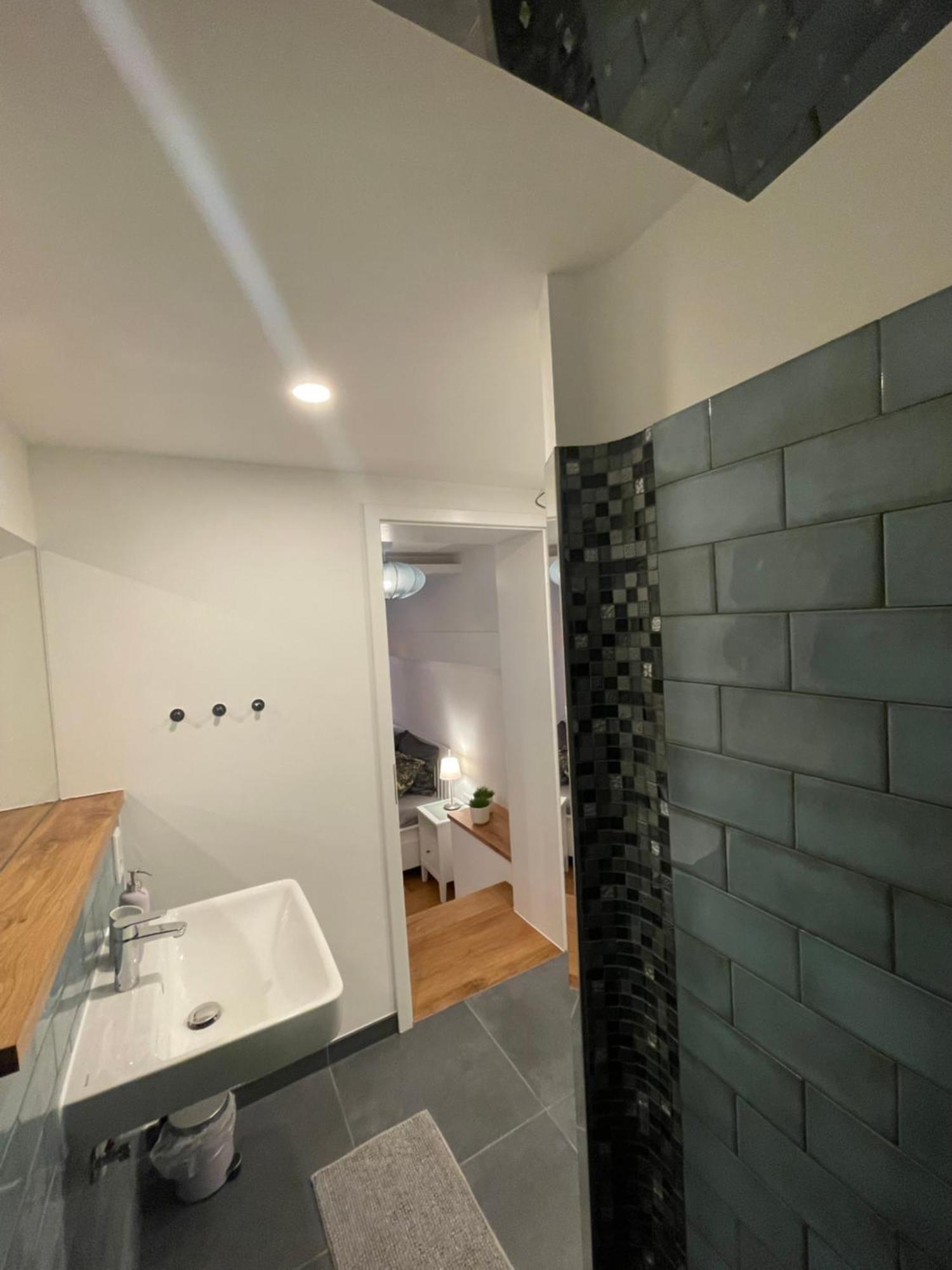 Boutique Hotel Pension Luisengruen Kueche 1Gbs Wlan Netflix Disney Magentatv Chemnitz  Exteriér fotografie