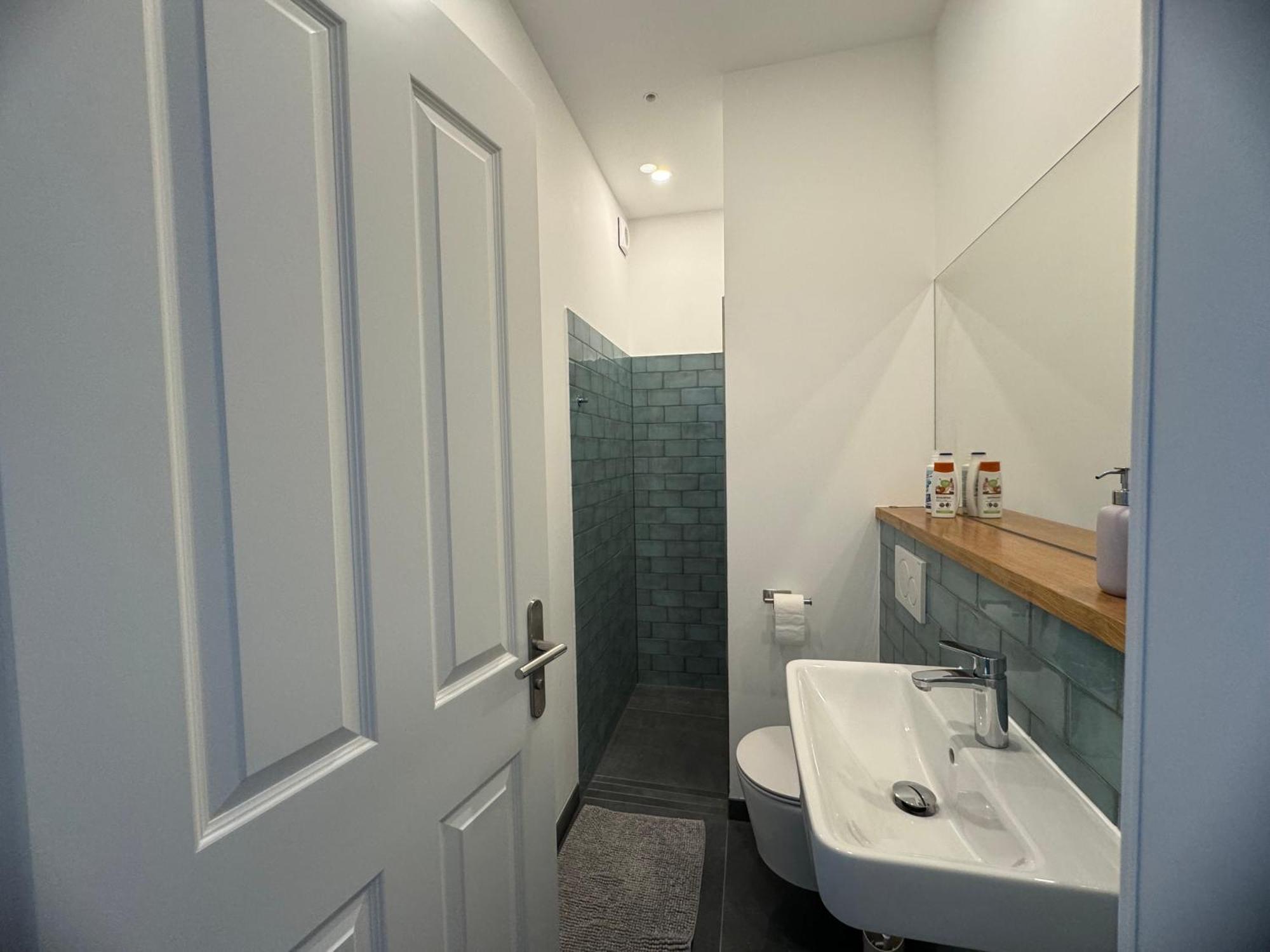 Boutique Hotel Pension Luisengruen Kueche 1Gbs Wlan Netflix Disney Magentatv Chemnitz  Exteriér fotografie