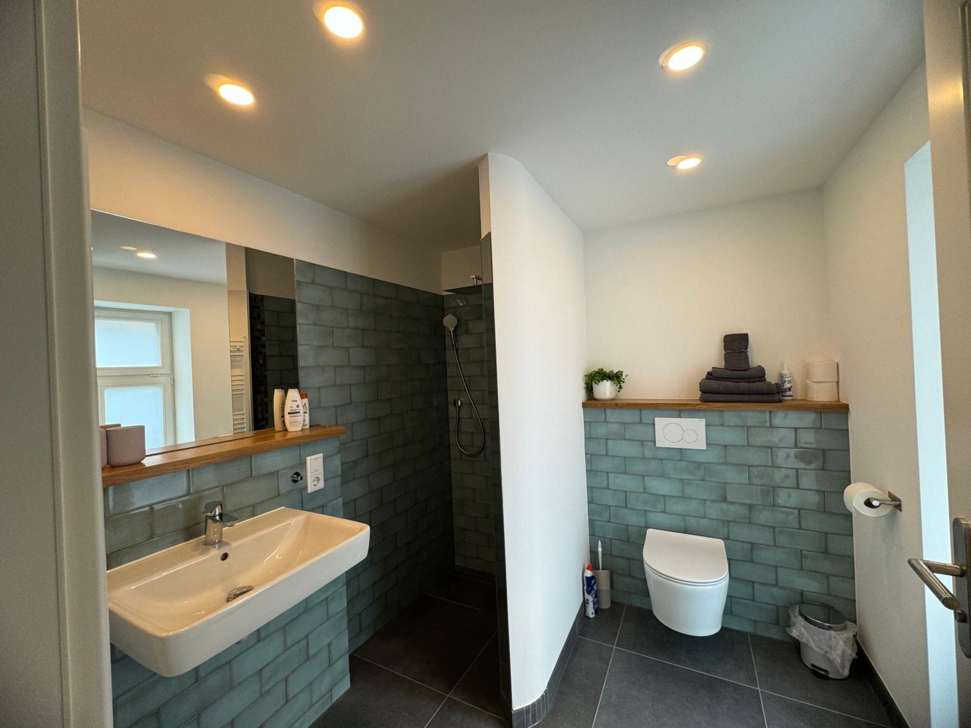 Boutique Hotel Pension Luisengruen Kueche 1Gbs Wlan Netflix Disney Magentatv Chemnitz  Exteriér fotografie